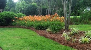 Abr front left straw 6 3 16 02