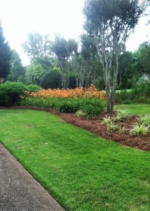 Abr front left straw 6 3 16 02