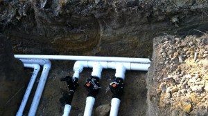 Lavare Leith Beginning Pictures (16)