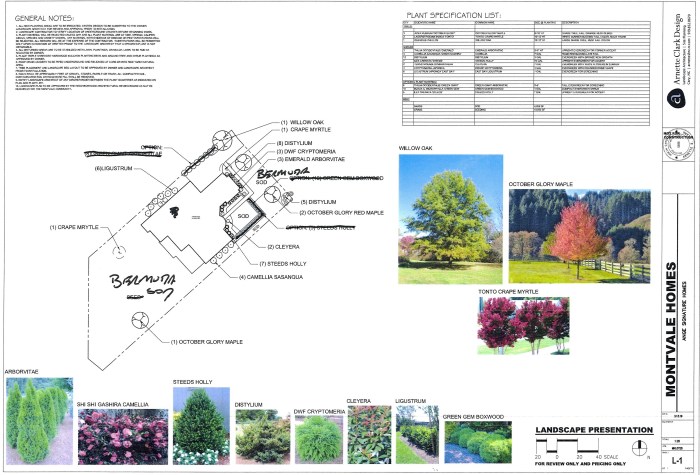 Montvale Revised plan hand marked 3 25 19