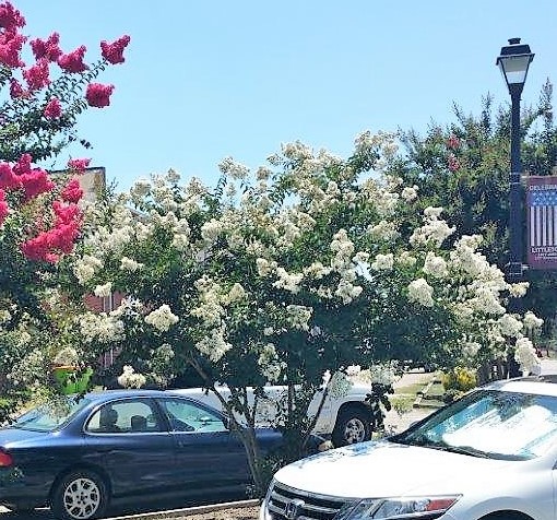 20190702_140305 Ac cr