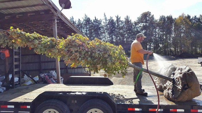 20191028_142829_edited_2